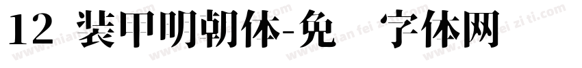 12 装甲明朝体字体转换